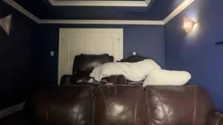 avaowenss - chaturbate