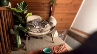 emersoncane - chaturbate