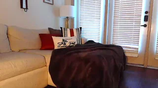 willowbelle thumbnail